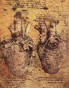 Heart And Its Blood Vessels