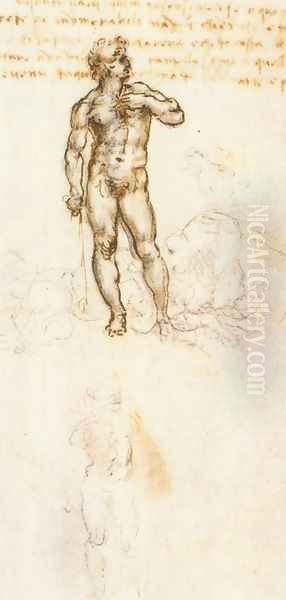 Study of David by Michelangelo - view 1