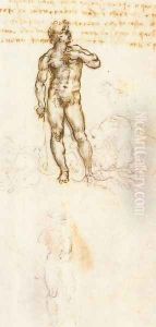 Study of David by Michelangelo