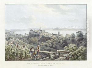 "vue Du Chateau Et De La Ville De Neuchatel by Mathias Gabriel Lory