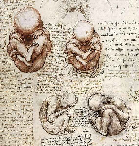 Fetus - view 1