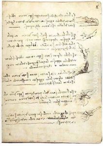 Codex On The Flight Of Birds