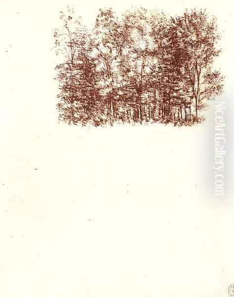 Birch copse c. 1500 - view 1