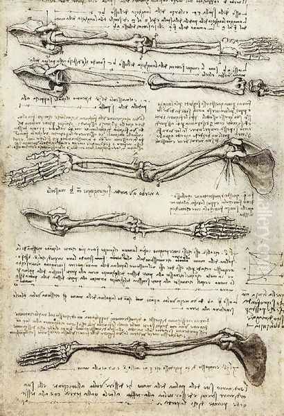 Arms - view 1