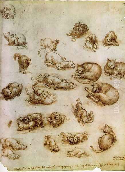 Study of Cat Movements and Position 1517-18 - view 1