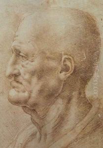 Study of an Old Man's Profile by Leonardo Da Vinci