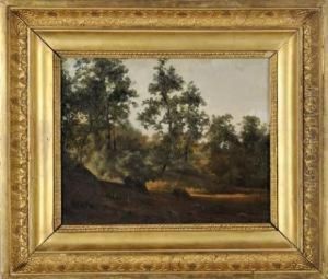 Paysage Paysage