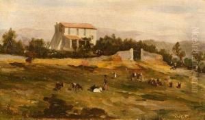 La Gardienne De Chevres Aux Environs De La Ciotat.