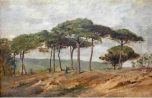 Personnages Sous Les Pins En Provence.