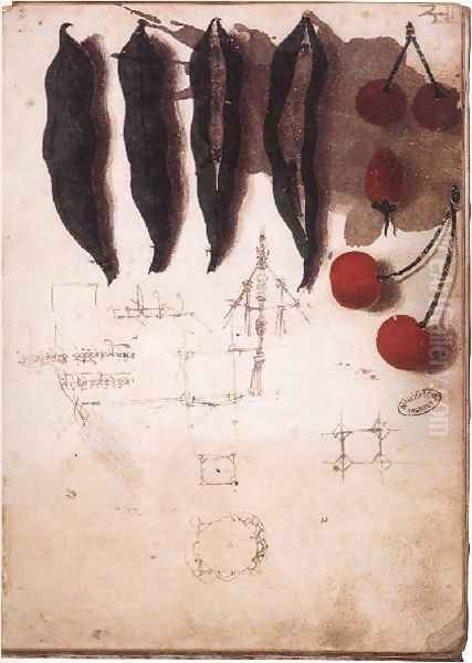 Fruit Vegetables And Other Studies - view 1