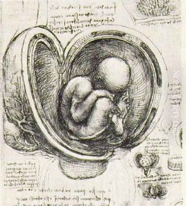 Womb Study