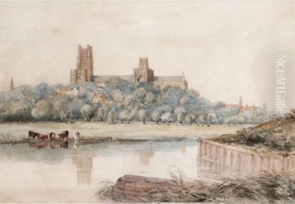View Of Ely Cathedral - view 1