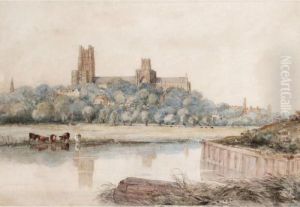 View Of Ely Cathedral