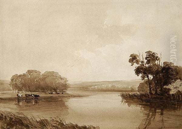 River Scene With Trees And Cattle - view 1