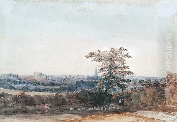 View Of Norwich From Mousehold Heath - view 1