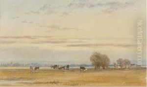 Cattle Grazing In The Water Meadows At Sunset by Thomas Lound
