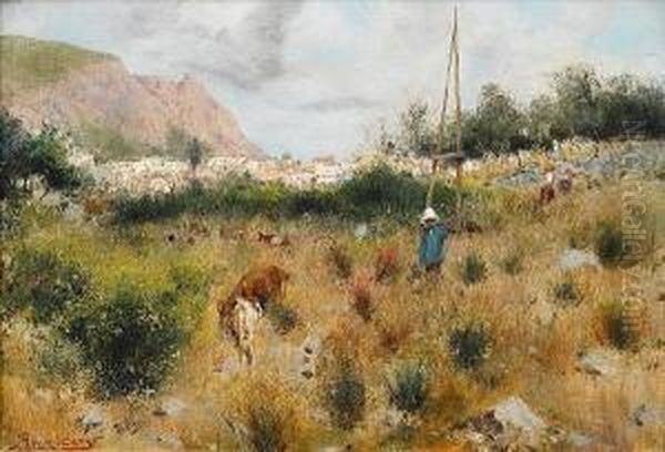 A Goatherd, Capri - view 1
