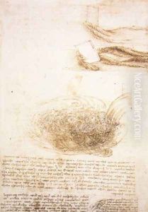 Studies Of Water
