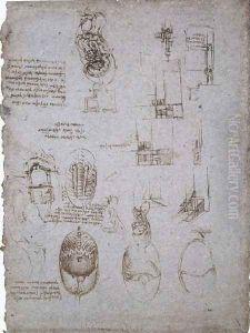 Studies Of The Villa Melzi And Anatomical Study by Leonardo Da Vinci