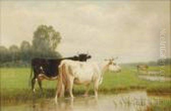 Cows Watering - view 1