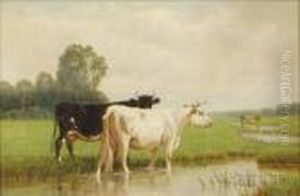 Cows Watering by Clinton Loveridge