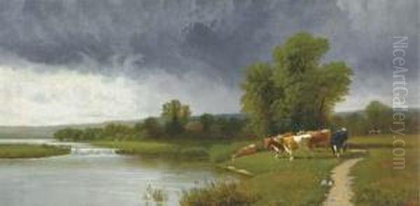 Cattle Grazing By A River - view 1