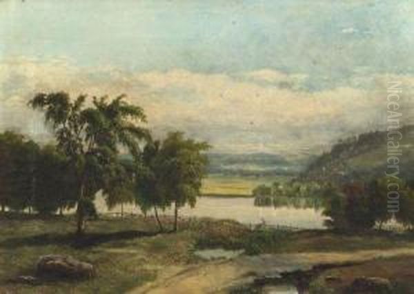 Meadows River - view 1