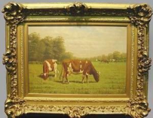 Cattle Grazing In A Field by Clinton Loveridge