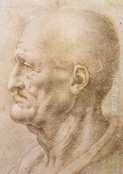 Profile Of An Old Man - view 1