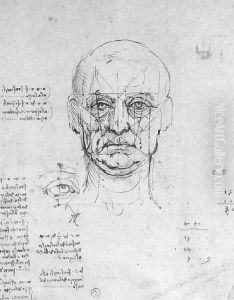 Study On The Proportions Of Head And Eyes by Leonardo Da Vinci