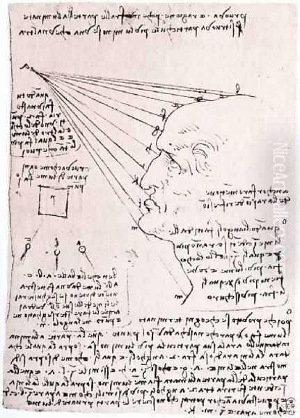 Study Of The Effect Of Light On A Profile Head Facsimile - view 1