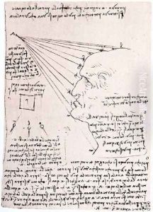 Study Of The Effect Of Light On A Profile Head Facsimile by Leonardo Da Vinci