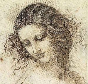 Leda draw
