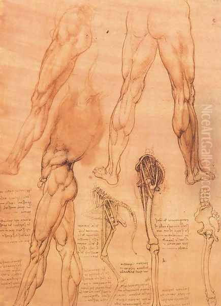 Studies of legs of man and the leg of a horse - view 1