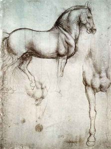 horse3