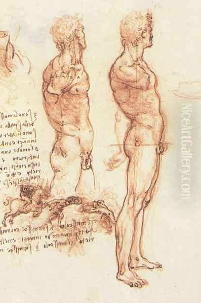 studyof_man - view 1