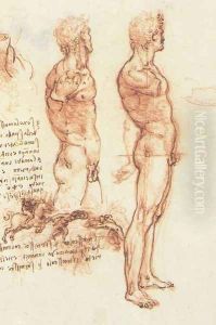 studyof_man