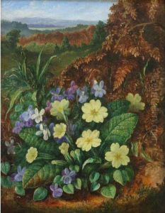 Primroses; Bell Heather by Albert Durer Lucas