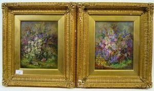 Still Lives by Albert Durer Lucas