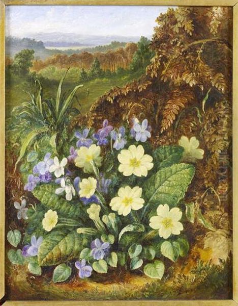 A Still Life Of Violets And Primula - view 1