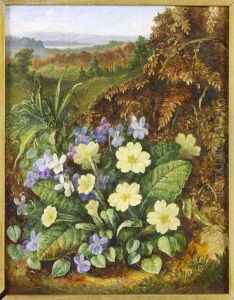 A Still Life Of Violets And Primula