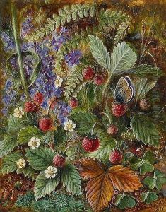 Wild Strawberries And A Butterfly by Albert Durer Lucas