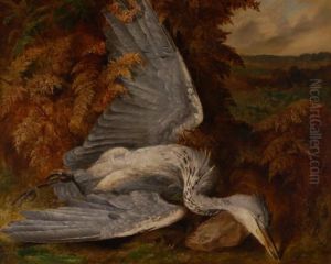 Untitled by Albert Durer Lucas