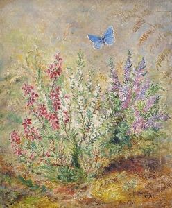 Fire-leaved Heath And Heather, Purple And White, With Adonis Blue Butterfly