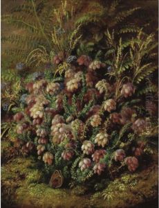 Butterfly In The Heather by Albert Durer Lucas