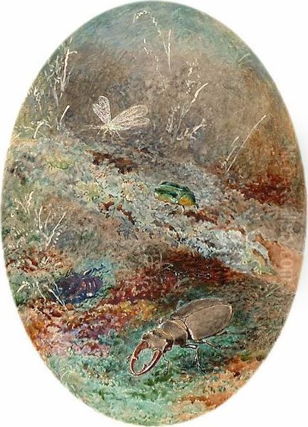 Still Life Of Insects On A Mossy Bank. - view 1