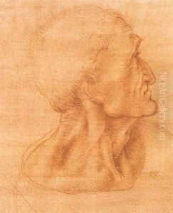 Study for the Last Supper: Judas by Leonardo Da Vinci