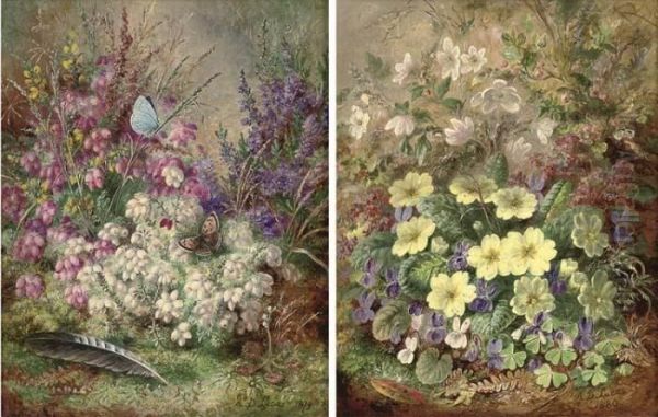 Primroses; And Heather - view 1