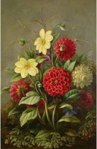 Bouquet De Dahlias Et Marguerites by Albert Durer Lucas