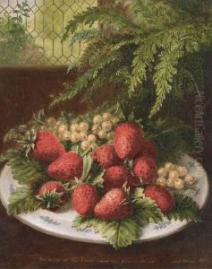 The Earth Is The Lords And The Fullness Thereof by Albert Durer Lucas
